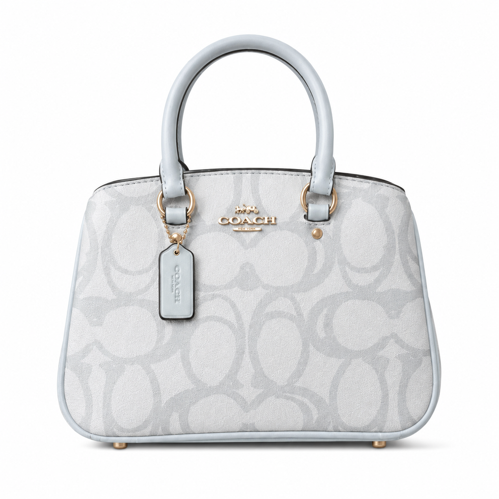Coach Katy Satchel