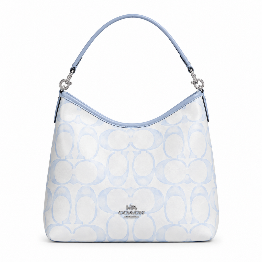 Coach Teri Hobo Bag