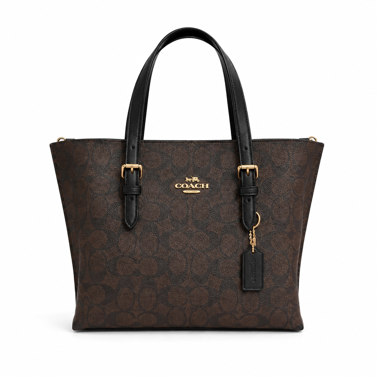Coach Mollie Tote Bag